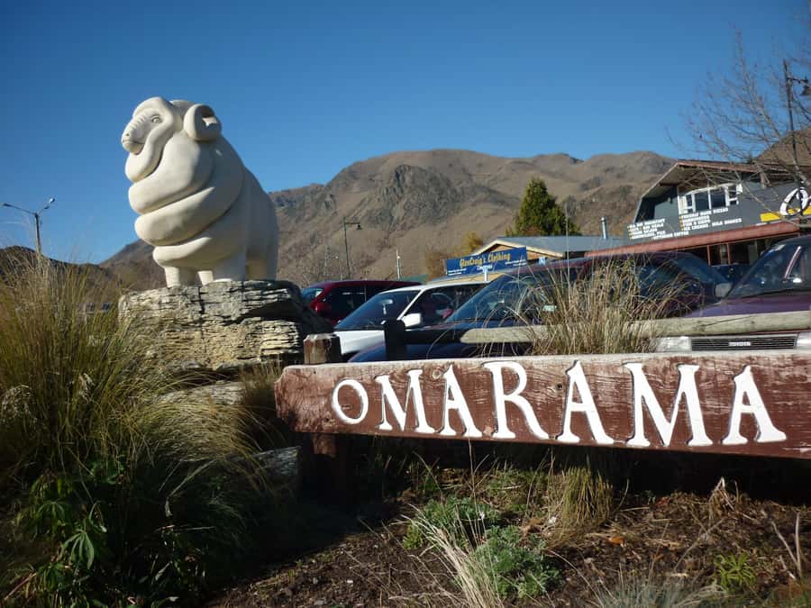 From Queenstown: Mount Cook Heli-Hike and Bus Tour Combo - Booking and packing advice