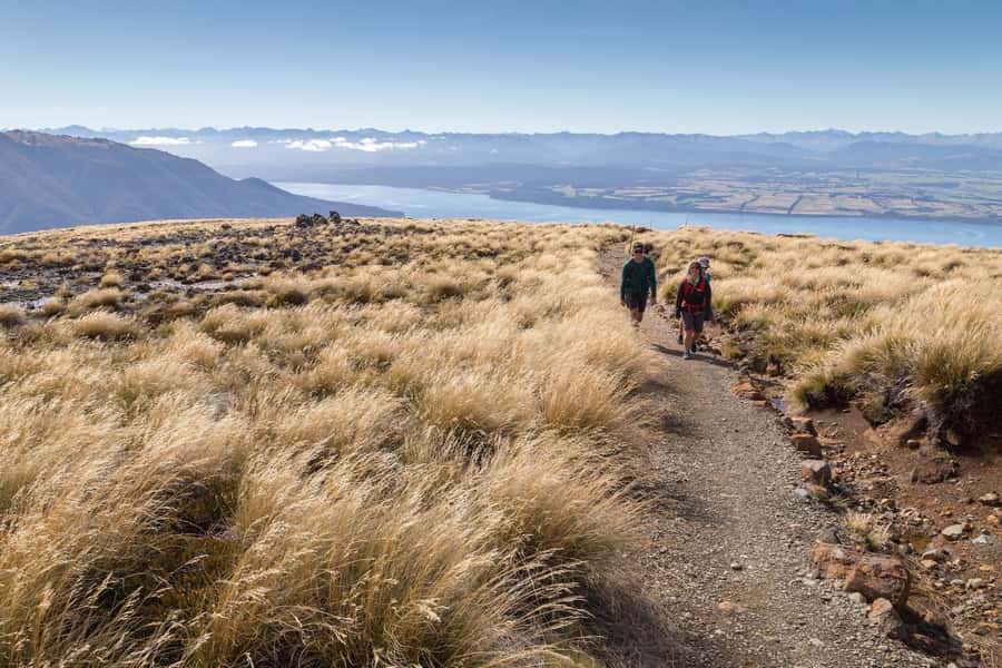 From Te Anau: Full Day Kepler Track Guided Heli-Hike - Limestone bluffs and Fiordland geology