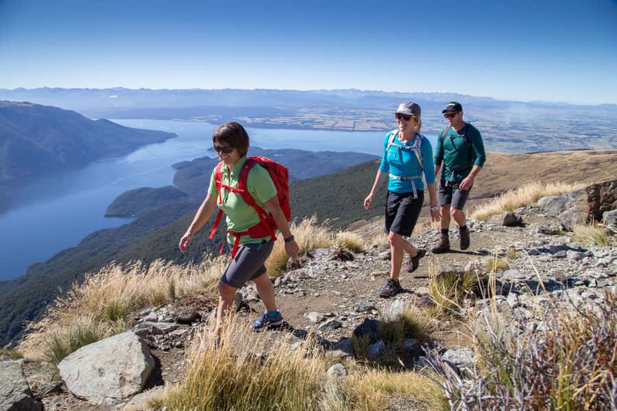 From Te Anau: Full Day Kepler Track Guided Heli-Hike - From beech forest to Lake Te Anau