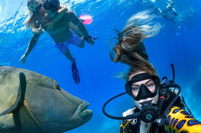 Full Day Reef Cruise and 10 Minute Helicopter Scenic Flight - The 90-minute ride aboard Evolution