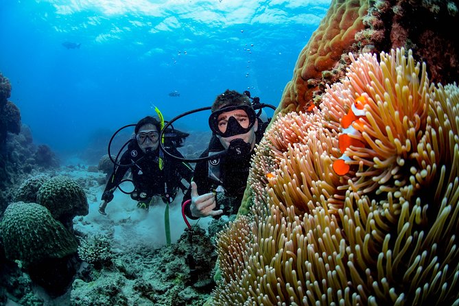 Full Day Reef Cruise and 10 Minute Helicopter Scenic Flight - Hastings Reef and the helicopter schedule