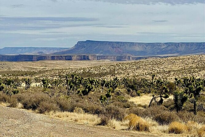 Grand Canyon Helicopter and Ranch Adventure by Luxury Vehicle - What the $350 price really covers