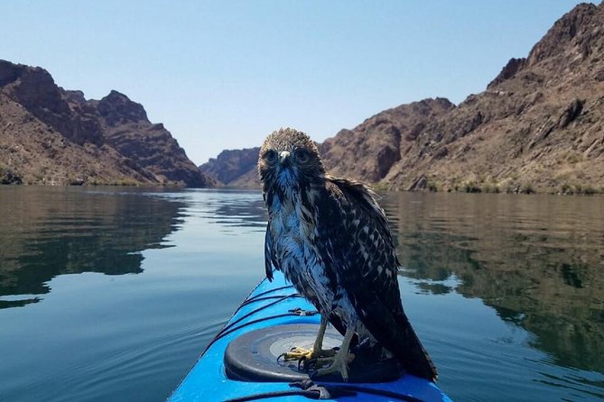 Grand Canyon Helicopter Flight with Emerald Cave Kayak Tour - Why the combination can be worth $699