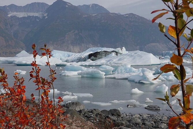 Grand Knik Helicopter Tour - 2 hours 3 landings - ANCHORAGE AREA - The weak points to consider