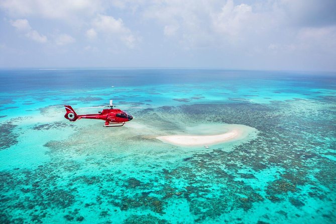 Great Barrier Reef 30-Minute Scenic Helicopter Tour from Cairns - Flying over coral, cays, and marine life