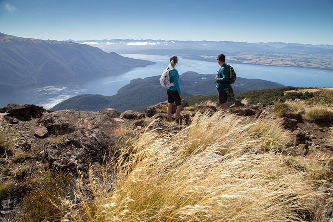 Guided Kepler Track Heli Hike - The long descent through native beech forest