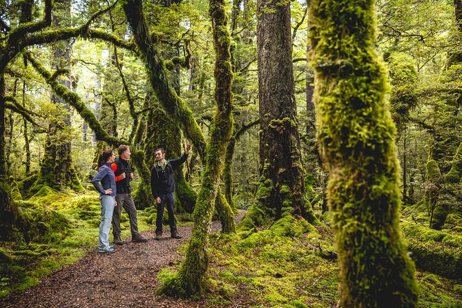 Guided Kepler Track Heli Hike - Who will enjoy this outing most