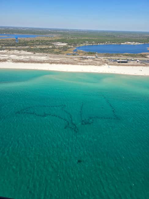 Gulf Shores, Orange Beach: 30-Minute Helicopter Tour - Who Will Like This Flight Most