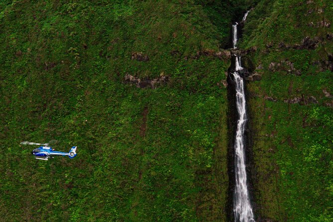 Hana Rainforest Scenic Helicopter Tour - Is $460.90 a Good Value?