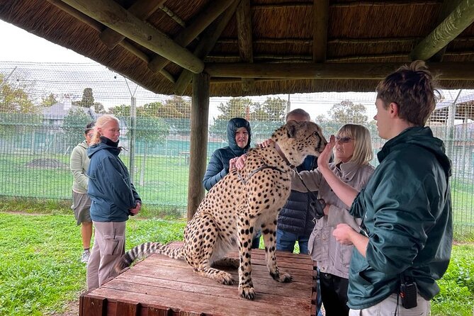 Helicopter, Boat Cruise, Big 5 Safari and Winelands Scenic Experience in 4 Days. - Practical details before you book
