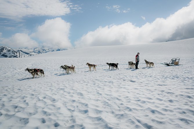 Helicopter Glacier & Dog Sledding Adventure Tour - Key points at a glance