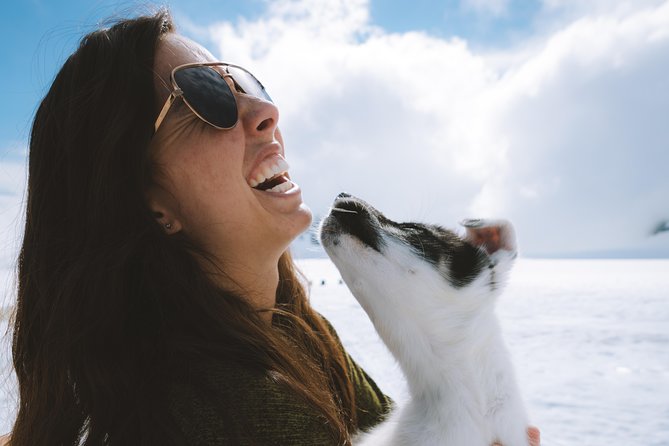 Helicopter Glacier & Dog Sledding Adventure Tour - Why this tour feels like classic Alaska
