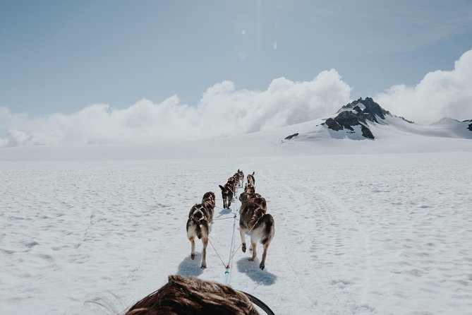 Helicopter Glacier & Dog Sledding Adventure Tour - Landing on a glacier with a working dog team
