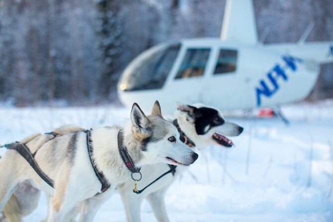 Helicopter Glacier Dogsled + Knik Glacier Landing- Anchorage Area - Clothing, luggage, and practical rules