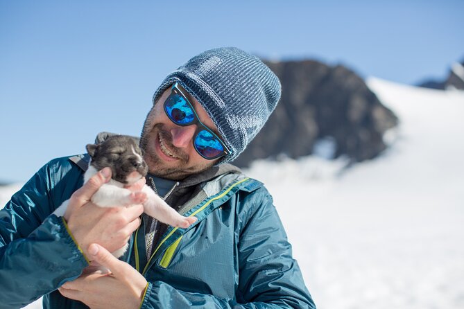 Helicopter Glacier Dogsled + Knik Glacier Landing- Anchorage Area - Walking on Knik Glacier and tasting meltwater