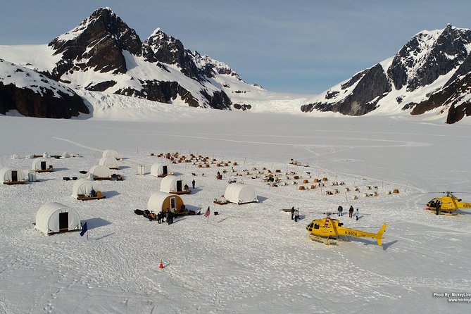 Helicopter To a Dogsledding Experience - Key points to know before booking