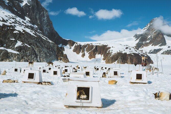 Helicopter To a Dogsledding Experience - The $727 question