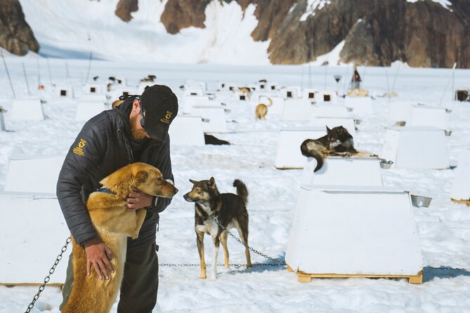 Helicopter to a Dogsledding Experience with a Glacier Landing - Why this Juneau tour packs so much into three and a half hours