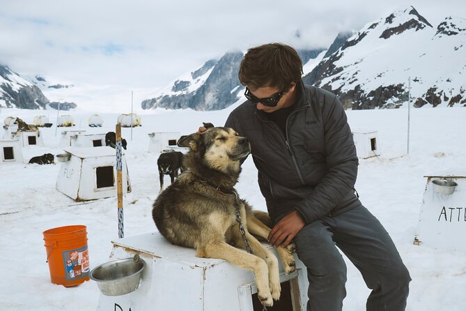 Helicopter to a Dogsledding Experience with a Glacier Landing - Flying back over the Juneau Icefield