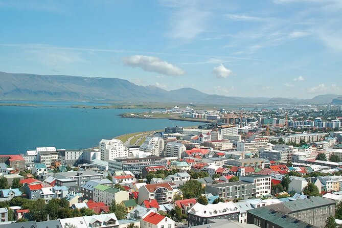 Helicopter tour from Reykjavik: Hengill Area with at site landing - Who should book this flight?