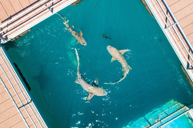 Horizontal Falls Helicopter Adventure from Broome - Is $2,064.94 good value?