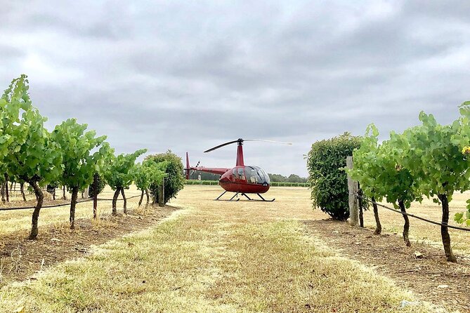 Hunter Valley Helicopter Tour with a Bubbly Breakfast - Why seeing Hunter Valley from the air changes the morning