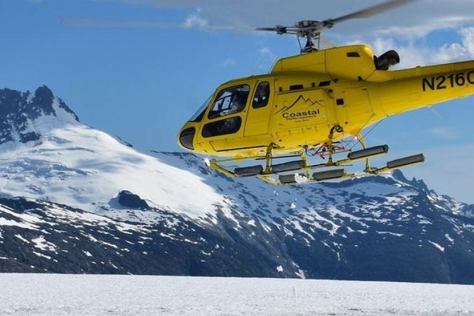 Juneau Shore Excursion: Helicopter Tour and Guided Icefield Walk - Walking on the glacier for 22 minutes