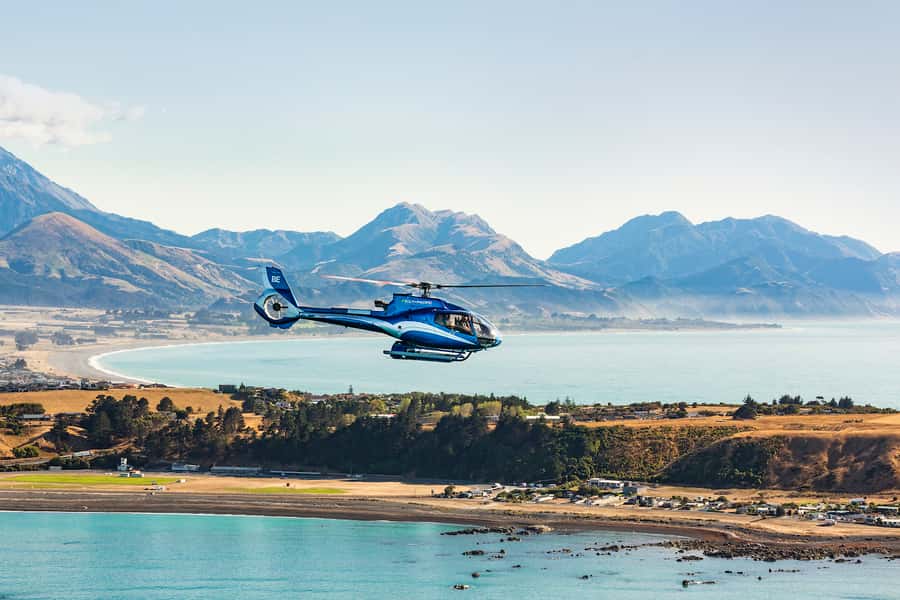 Kaikoura: 1-Hour Whale Watching Helicopter Tour - What the $792 price includes