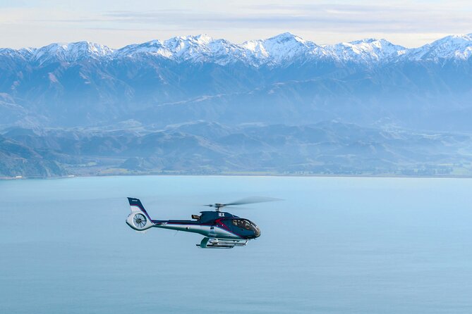 Kaikoura Helicopters Extended Whale Watch - Is $313.39 a fair price?