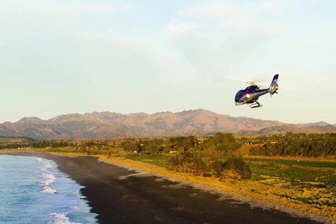 Kaikoura Helicopters Extended Whale Watch - What the flight feels like for first-time passengers