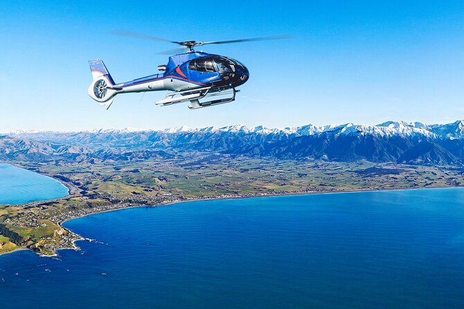 Kaikoura Helicopters Top n Tail Whale Watch flight - Timing, clothing, and practical preparation