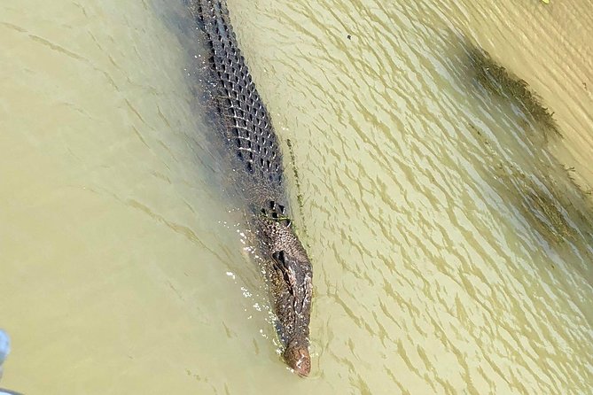 Kakadu Yellow Waters Cruise & Katherine Gorge Helicopter Scenic - One long day, three ways to see the Top End