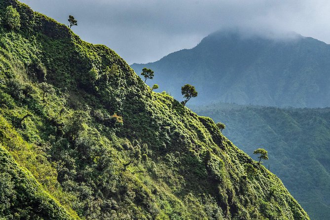 Kauai Eco Adventure Helicopter Tour - What the pilot and headset add