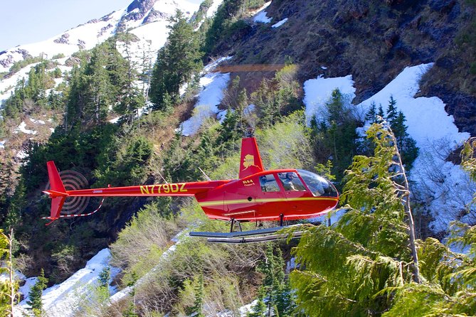 Ketchikan Helicopter Tour, Mahoney Falls - Key points to know before you fly