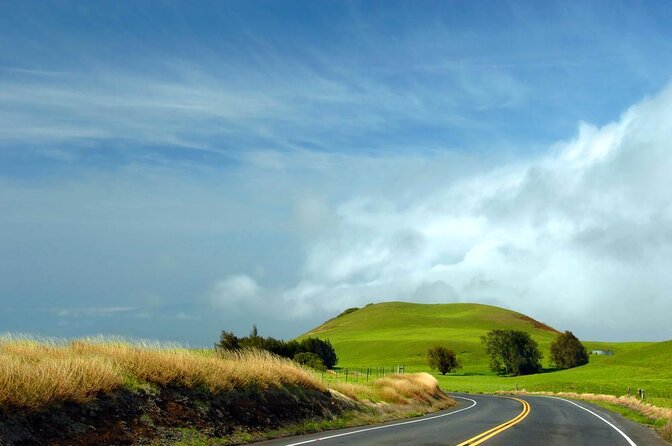 Kohala Waterfalls with Exclusive Landing Helicopter Tour - Key points to know before you book