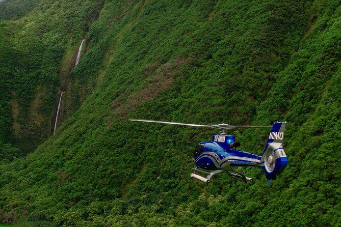Kohala Waterfalls with Exclusive Landing Helicopter Tour - What the $804.65 price really buys