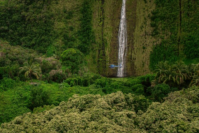Kohala Waterfalls with Exclusive Landing Helicopter Tour - Weather, cancellation, and practical planning