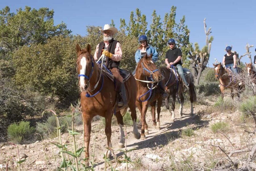 Las Vegas: Grand Canyon Helicopter & Ranch Adventure by Bus - Who should book this experience?