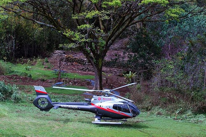 Luxury Helicopter Experience with Hana Rainforest Landing - What the seating rules mean for your group