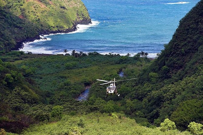 Luxury Helicopter Experience with Hana Rainforest Landing - Practical details before you book