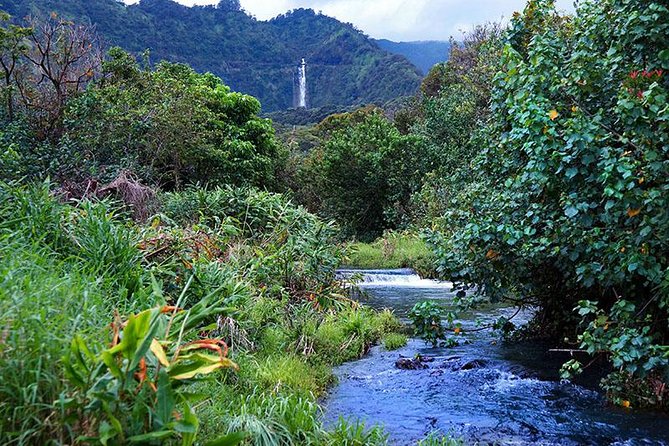Luxury Helicopter Experience with Hana Rainforest Landing - From Kahului to Maui’s north coast