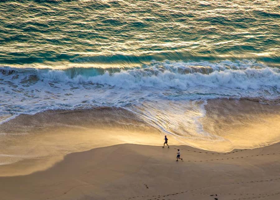 Margaret River: 20 min scenic helicopter flight - Wineries, forest, and countryside from above