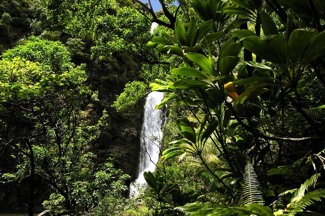 Maui: Road to Hana Luxury Limo-Van Tour with Helicopter Flight - Hana, waterfalls, and the possible swim stop