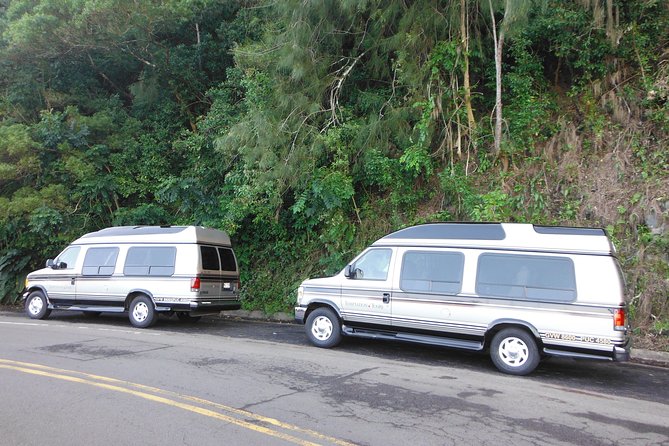 Maui: Road to Hana Luxury Limo-Van Tour with Helicopter Flight - Wai‘anapanapa and the black-sand beach