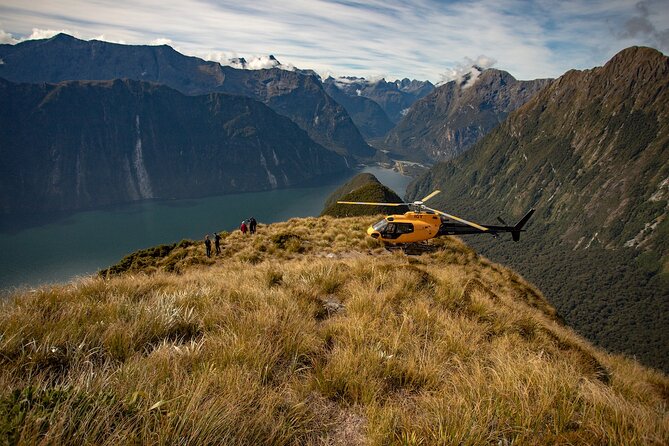 Milford Sound Earnslaw Burn Helicopter Tour from Queenstown - Key details before you book