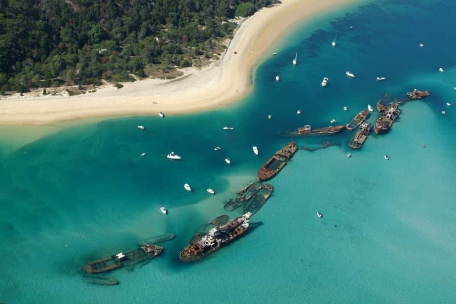 Moreton Island: Tangalooma Snorkel Tour with Helicopter Tour - Should you book the Tangalooma snorkeling and helicopter tour?
