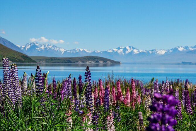 Mount Cook Scenic 35 Minute Helicopter Flight - The value of $308.70 per person