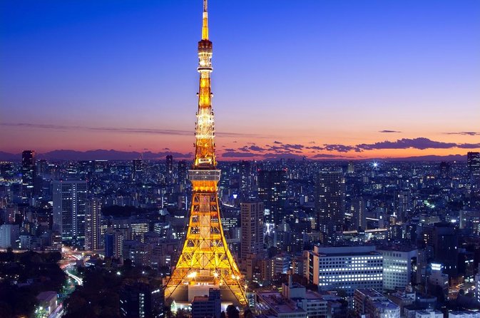 Mt. Fuji & Tokyo Helicopter Tour【90 mins】 : Close to Mt.Fuji! - A 90-Minute View of Tokyo From Tokyo Heliport