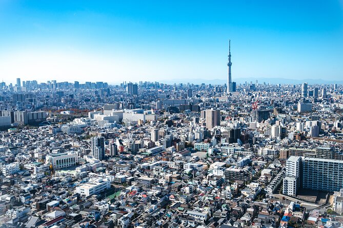 Mt. Fuji & Tokyo Luxury Helicopter Tour【90Mins-5pax】Breathtaking! - The coastline route to Enoshima and Mount Fuji