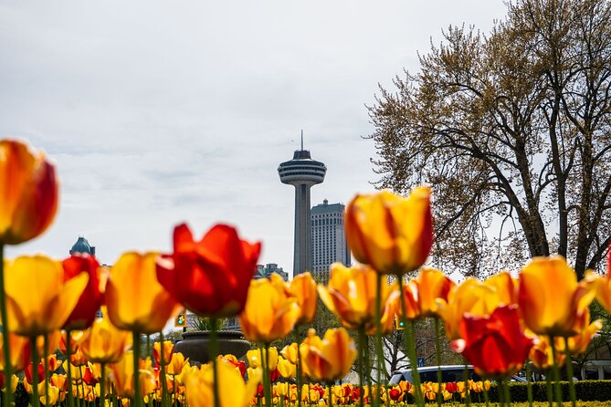 Niagara Falls Canada: Helicopter + Boat + Lunch & more US Pick-up - Your guide can make the tight schedule easier